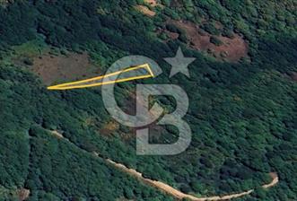 Senaiye'de satılık 678 m2 diğer tarım alanı. Türbin alanında