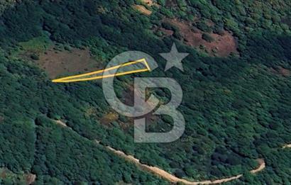 Senaiye'de satılık 678 m2 diğer tarım alanı. Türbin alanında