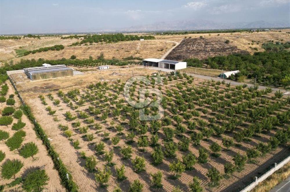 CB SAFİR'den YEŞİLYURT KIRKPINAR da KURULU DÜZEN BESİ ÇİFTLİĞİ