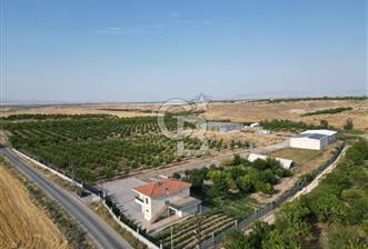 CB SAFİR'den YEŞİLYURT KIRKPINAR da KURULU DÜZEN BESİ ÇİFTLİĞİ