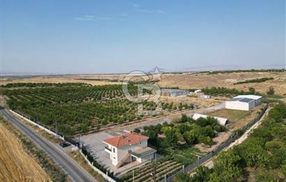 CB SAFİR'den YEŞİLYURT KIRKPINAR da KURULU DÜZEN BESİ ÇİFTLİĞİ