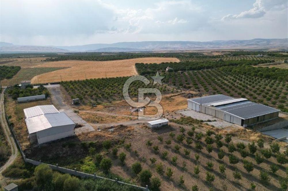 CB SAFİR'den YEŞİLYURT KIRKPINAR da KURULU DÜZEN BESİ ÇİFTLİĞİ