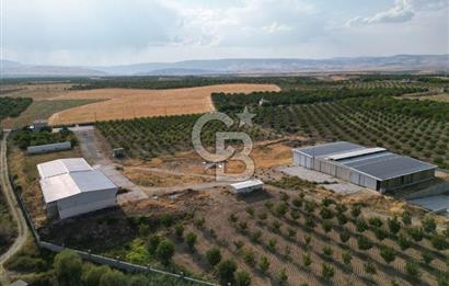 CB SAFİR'den YEŞİLYURT KIRKPINAR da KURULU DÜZEN BESİ ÇİFTLİĞİ