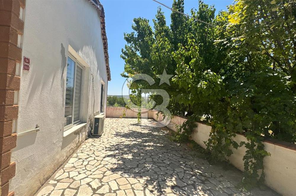 163 Dönüm, 7 Bin Zeytin Ağaçlı, Deposu ve Evi Olan Tarla