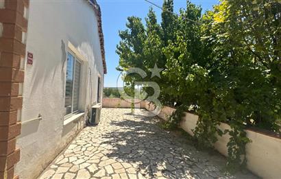 163 Dönüm, 7 Bin Zeytin Ağaçlı, Deposu ve Evi Olan Tarla