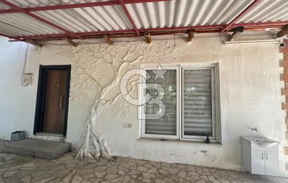 163 Dönüm, 7 Bin Zeytin Ağaçlı, Deposu ve Evi Olan Tarla