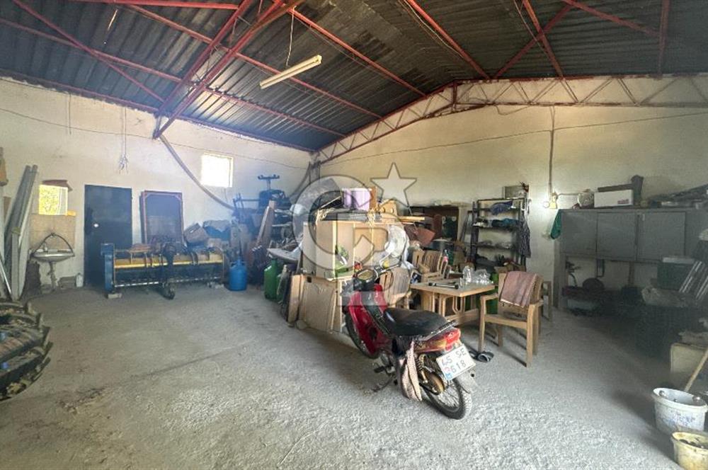 163 Dönüm, 7 Bin Zeytin Ağaçlı, Deposu ve Evi Olan Tarla