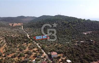 CB GİZ'DEN KAŞ BAYINDIR'DA SATILIK YATIRIMLIK ARAZİ