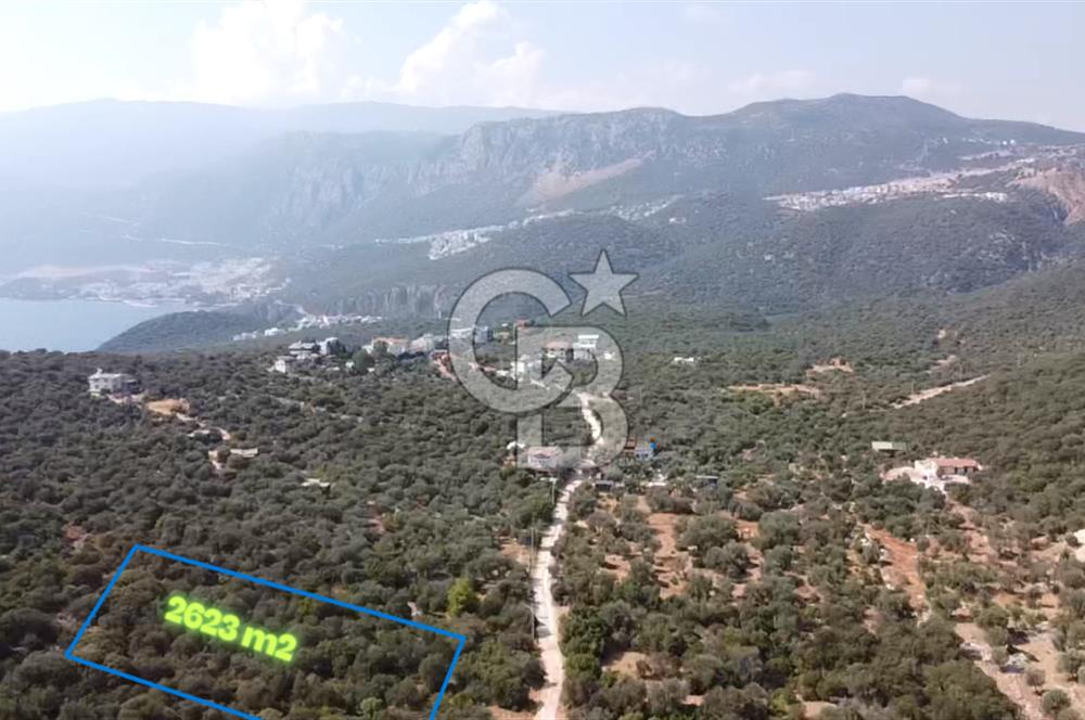 CB GİZ'DEN KAŞ BAYINDIR'DA SATILIK YATIRIMLIK ARAZİ