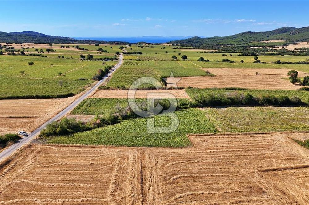 ECEABAT BEŞYOL DA SİT ALANI DIŞINDA SATILIK TEK TAPU TARLA