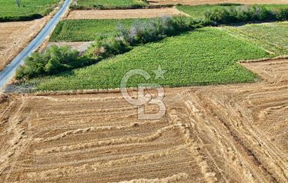 ECEABAT BEŞYOL DA SİT ALANI DIŞINDA SATILIK TEK TAPU TARLA