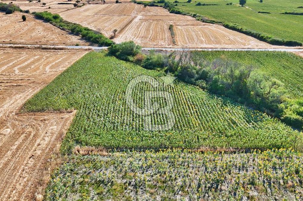 ECEABAT BEŞYOL DA SİT ALANI DIŞINDA SATILIK TEK TAPU TARLA