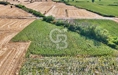 ECEABAT BEŞYOL DA SİT ALANI DIŞINDA SATILIK TEK TAPU TARLA