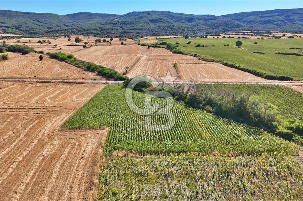 ECEABAT BEŞYOL DA SİT ALANI DIŞINDA SATILIK TEK TAPU TARLA