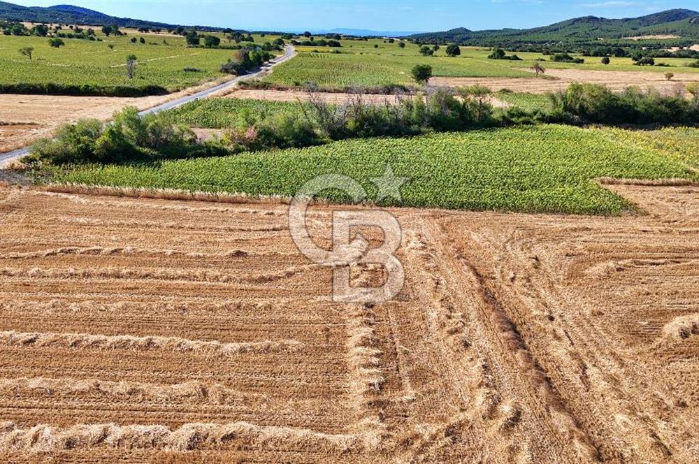 ECEABAT BEŞYOL DA SİT ALANI DIŞINDA SATILIK TEK TAPU TARLA
