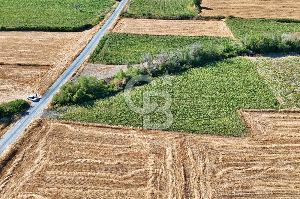 ECEABAT BEŞYOL DA SİT ALANI DIŞINDA SATILIK TEK TAPU TARLA