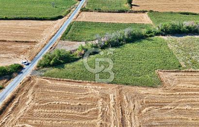 ECEABAT BEŞYOL DA SİT ALANI DIŞINDA SATILIK TEK TAPU TARLA
