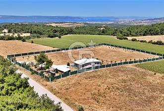 ÇANAKKALE MERKEZ ÇINARLI PRESTİJ 301 M2 TARLA