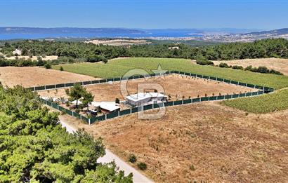 ÇANAKKALE MERKEZ ÇINARLI PRESTİJ 301 M2 TARLA