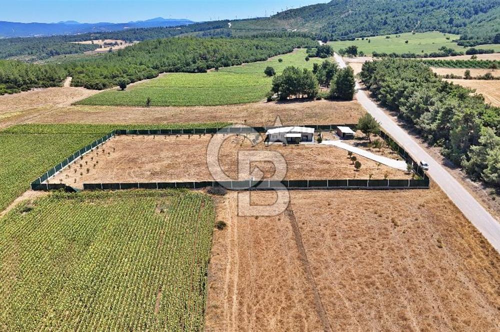 ÇANAKKALE MERKEZ ÇINARLI PRESTİJ 301 M2 TARLA