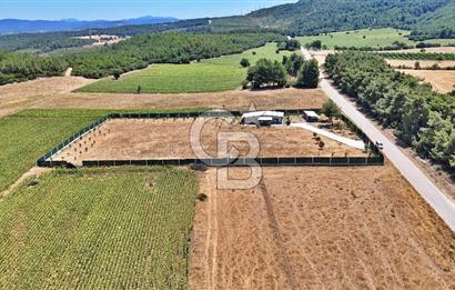 ÇANAKKALE MERKEZ ÇINARLI PRESTİJ 301 M2 TARLA
