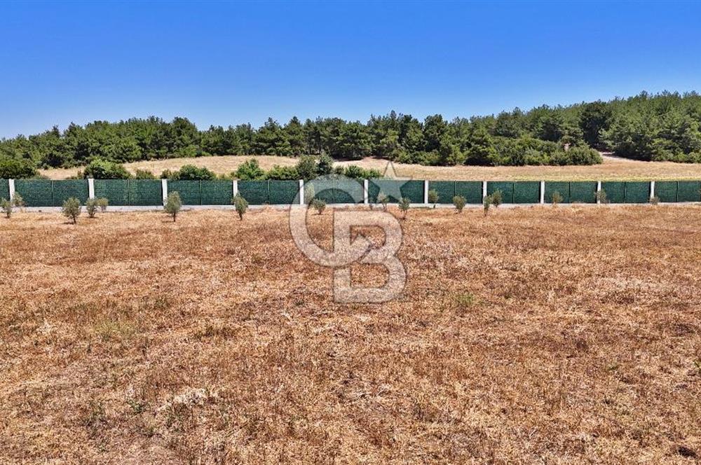 ÇANAKKALE MERKEZ ÇINARLI PRESTİJ 301 M2 TARLA
