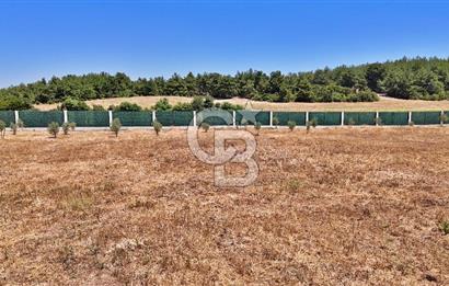 ÇANAKKALE MERKEZ ÇINARLI PRESTİJ 301 M2 TARLA