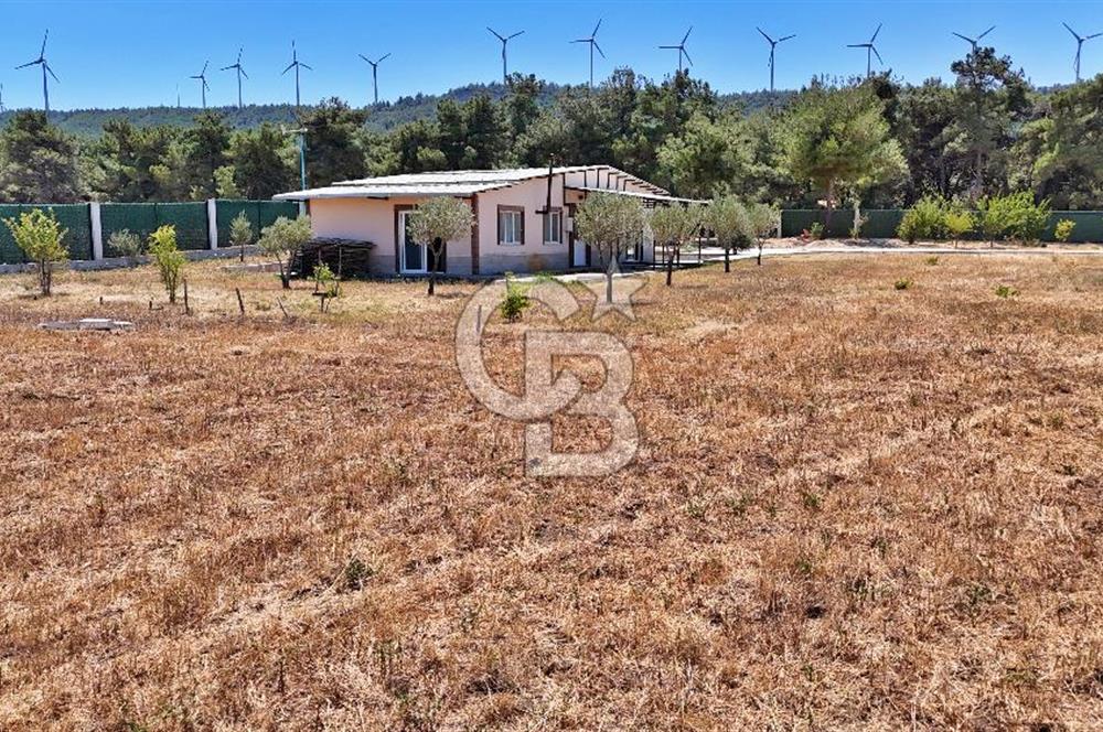 ÇANAKKALE MERKEZ ÇINARLI PRESTİJ 301 M2 TARLA