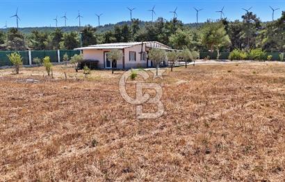 ÇANAKKALE MERKEZ ÇINARLI PRESTİJ 301 M2 TARLA