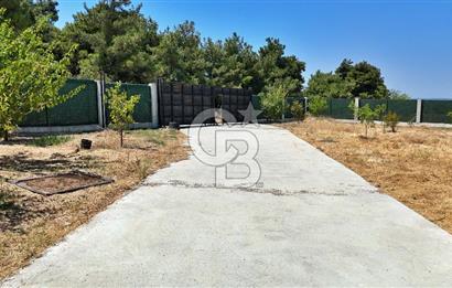 ÇANAKKALE MERKEZ ÇINARLI PRESTİJ 301 M2 TARLA