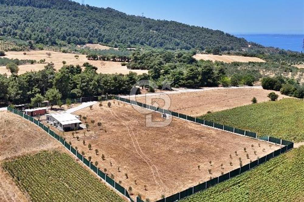 ÇANAKKALE MERKEZ ÇINARLI PRESTİJ 301 M2 TARLA