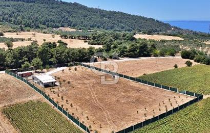 ÇANAKKALE MERKEZ ÇINARLI PRESTİJ 301 M2 TARLA