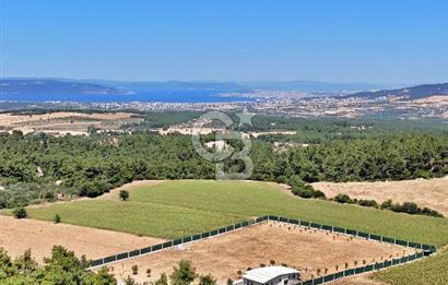 ÇANAKKALE MERKEZ ÇINARLI PRESTİJ 301 M2 TARLA