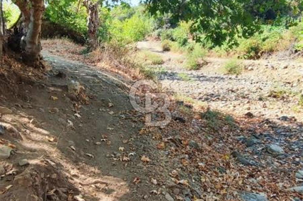 ÇANAKKALE MERKEZ ORTACA DA SATILIK BAHÇE
