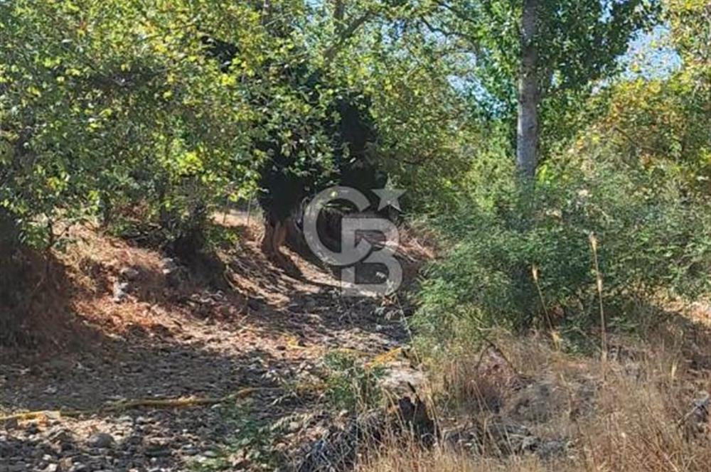 ÇANAKKALE MERKEZ ORTACA DA SATILIK BAHÇE