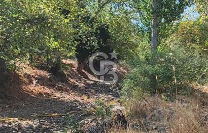 ÇANAKKALE MERKEZ ORTACA DA SATILIK BAHÇE