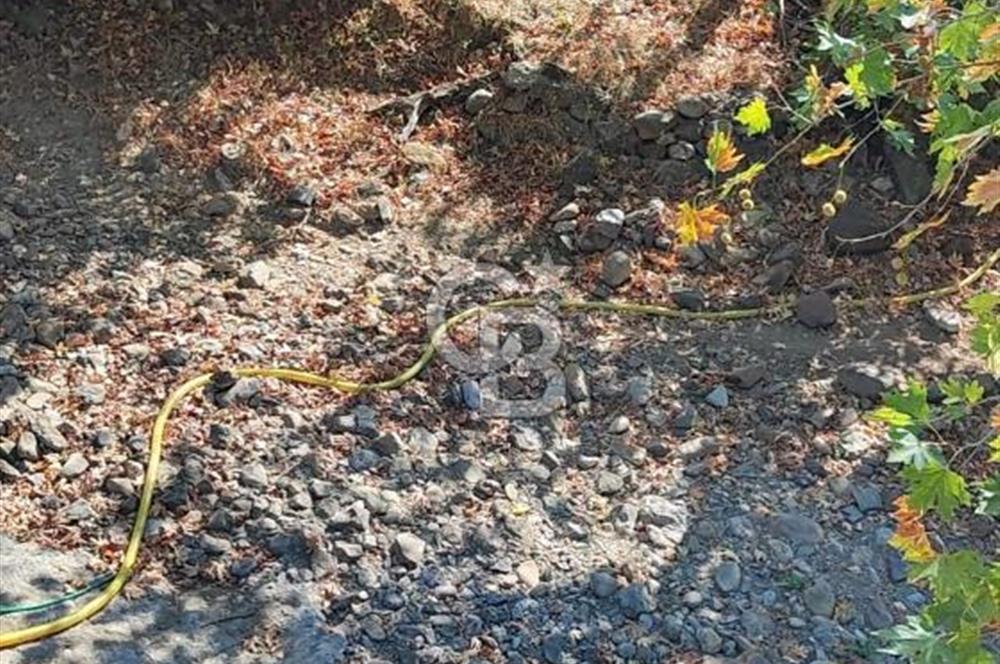 ÇANAKKALE MERKEZ ORTACA DA SATILIK BAHÇE