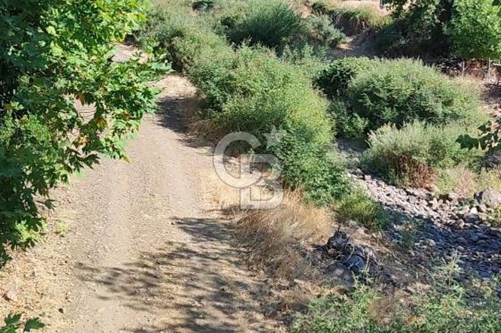 ÇANAKKALE MERKEZ ORTACA DA SATILIK BAHÇE