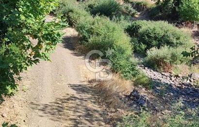 ÇANAKKALE MERKEZ ORTACA DA SATILIK BAHÇE