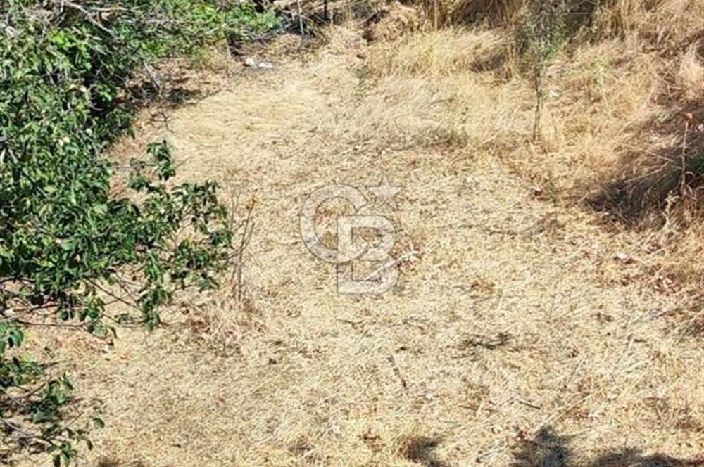 ÇANAKKALE MERKEZ ORTACA DA SATILIK BAHÇE