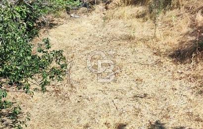 ÇANAKKALE MERKEZ ORTACA DA SATILIK BAHÇE