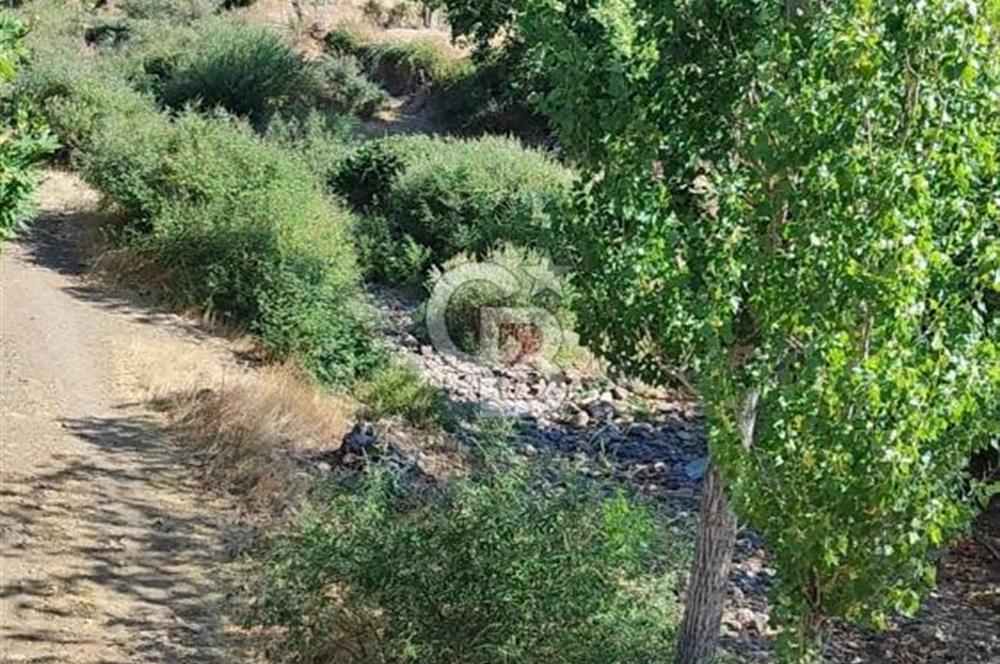 ÇANAKKALE MERKEZ ORTACA DA SATILIK BAHÇE