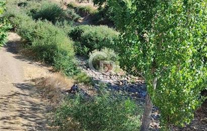 ÇANAKKALE MERKEZ ORTACA DA SATILIK BAHÇE
