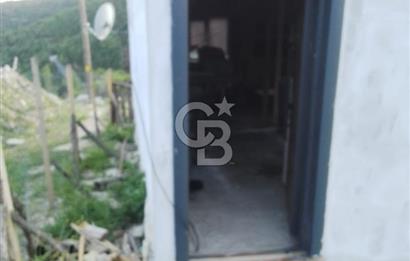 YENİCE NAMAZGAHTA İÇERİSİNDE EV BULUNAN ARSA