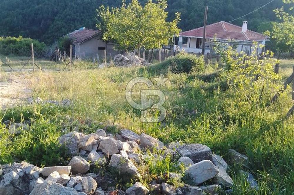YENİCE NAMAZGAHTA İÇERİSİNDE EV BULUNAN ARSA