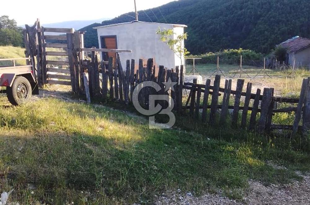 YENİCE NAMAZGAHTA İÇERİSİNDE EV BULUNAN ARSA