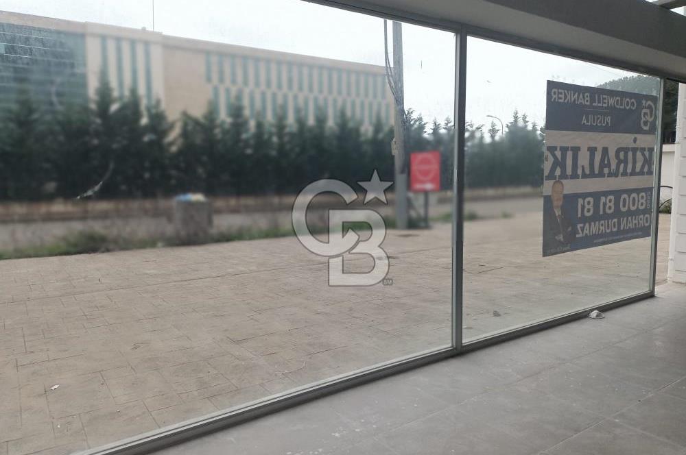 ÜNİVERSİTE YANINDA SATILIK İŞ YERİ 