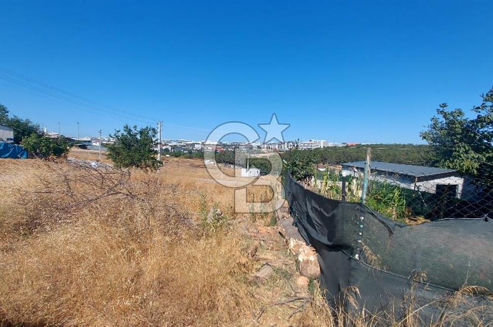 ✅ ŞEKERPINAR’DA KÖŞE PARSEL – 421 M² KONUT İMARLI, 5 KAT İMARLI ARSA – YATIRIMLIK FIRSAT!