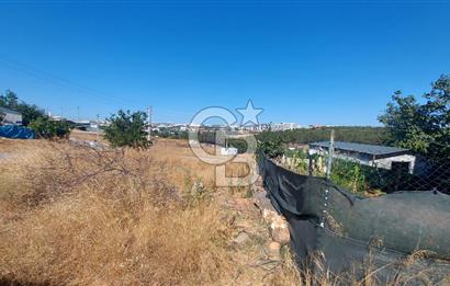 ✅ ŞEKERPINAR’DA KÖŞE PARSEL – 421 M² KONUT İMARLI, 5 KAT İMARLI ARSA – YATIRIMLIK FIRSAT!