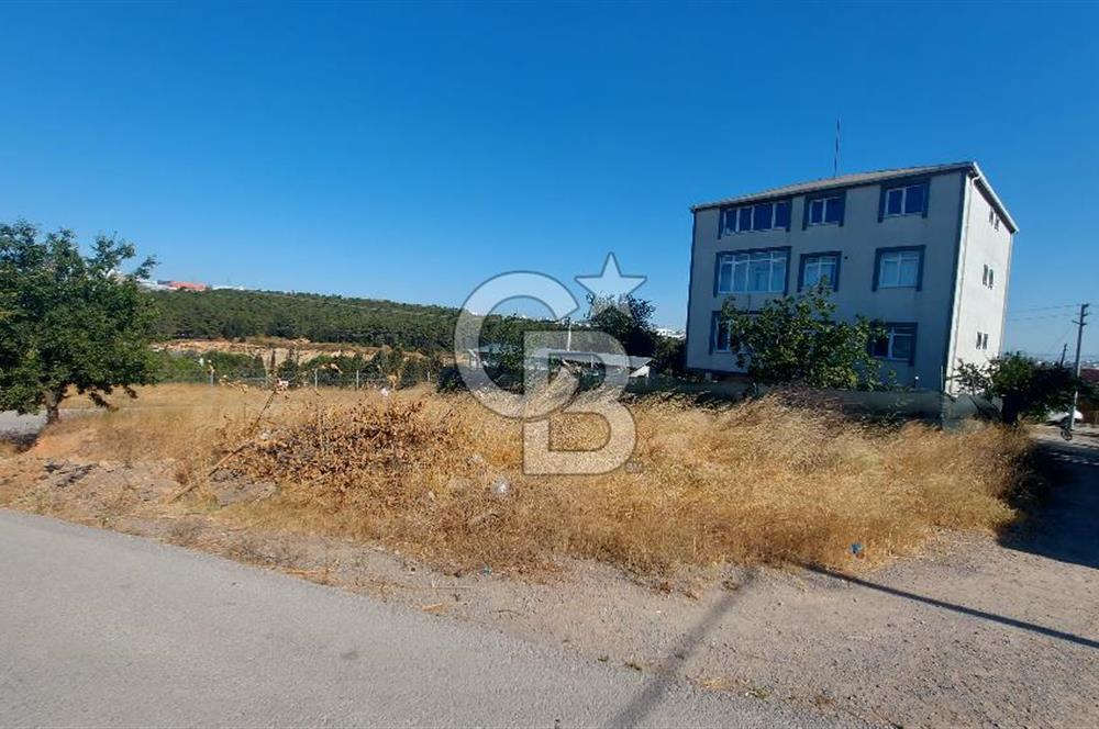 ✅ ŞEKERPINAR’DA KÖŞE PARSEL – 421 M² KONUT İMARLI, 5 KAT İMARLI ARSA – YATIRIMLIK FIRSAT!